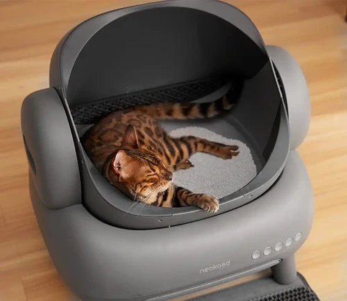 2026 Neakasa M1 Katzentoilette mit offenem Deckel und Selbstreinigung