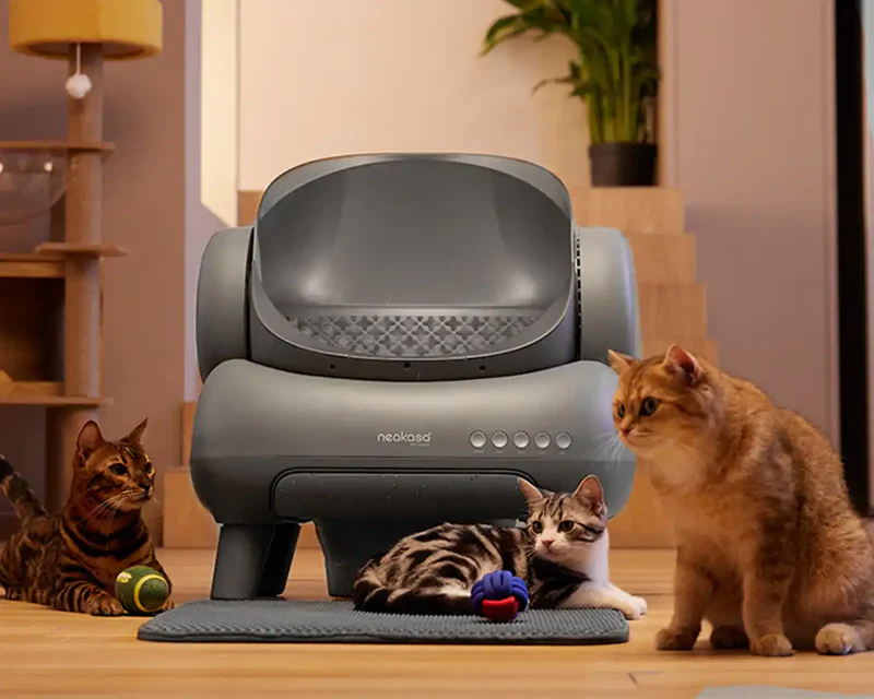 2026 Neakasa M1 Katzentoilette mit offenem Deckel und Selbstreinigung
