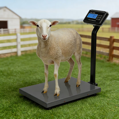 2026 1100 LBS x 0.2 LBS Livestock Scale Electronic Platform Scale for Dog Goat Sheep Black