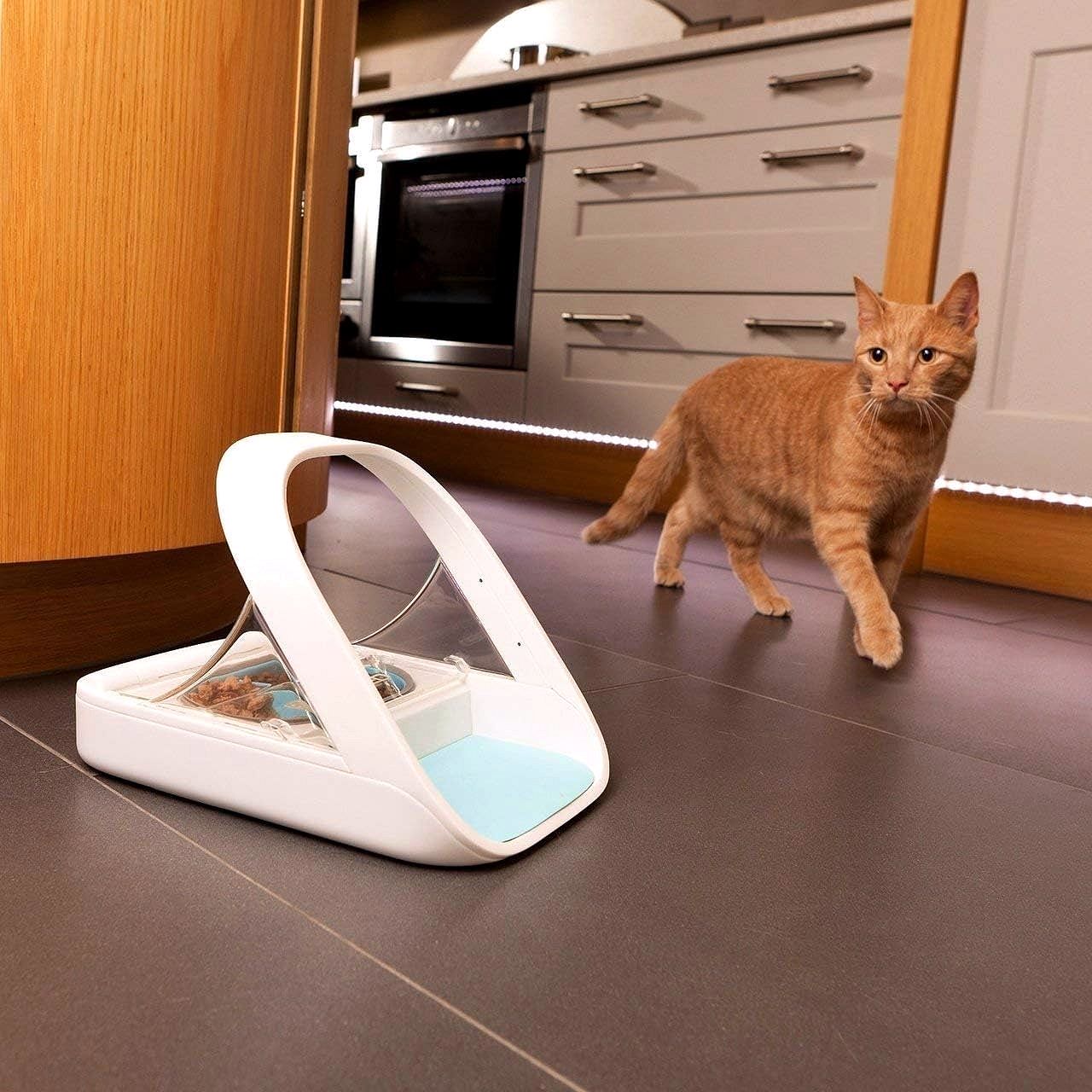 2026 Automatischer Haustierfutterautomat – Microchip Pet Feeder MPF001