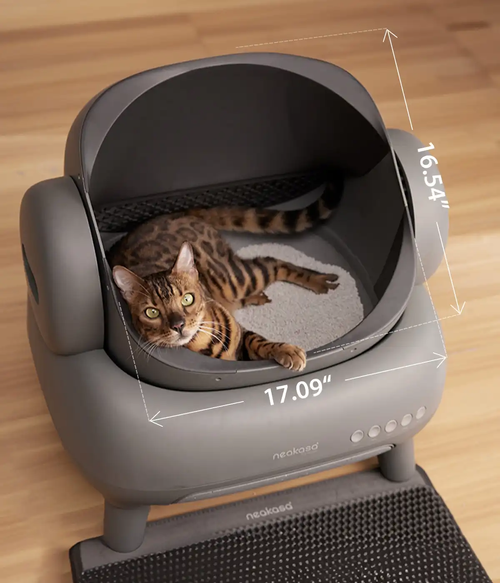 2026 Neakasa M1 Katzentoilette mit offenem Deckel und Selbstreinigung