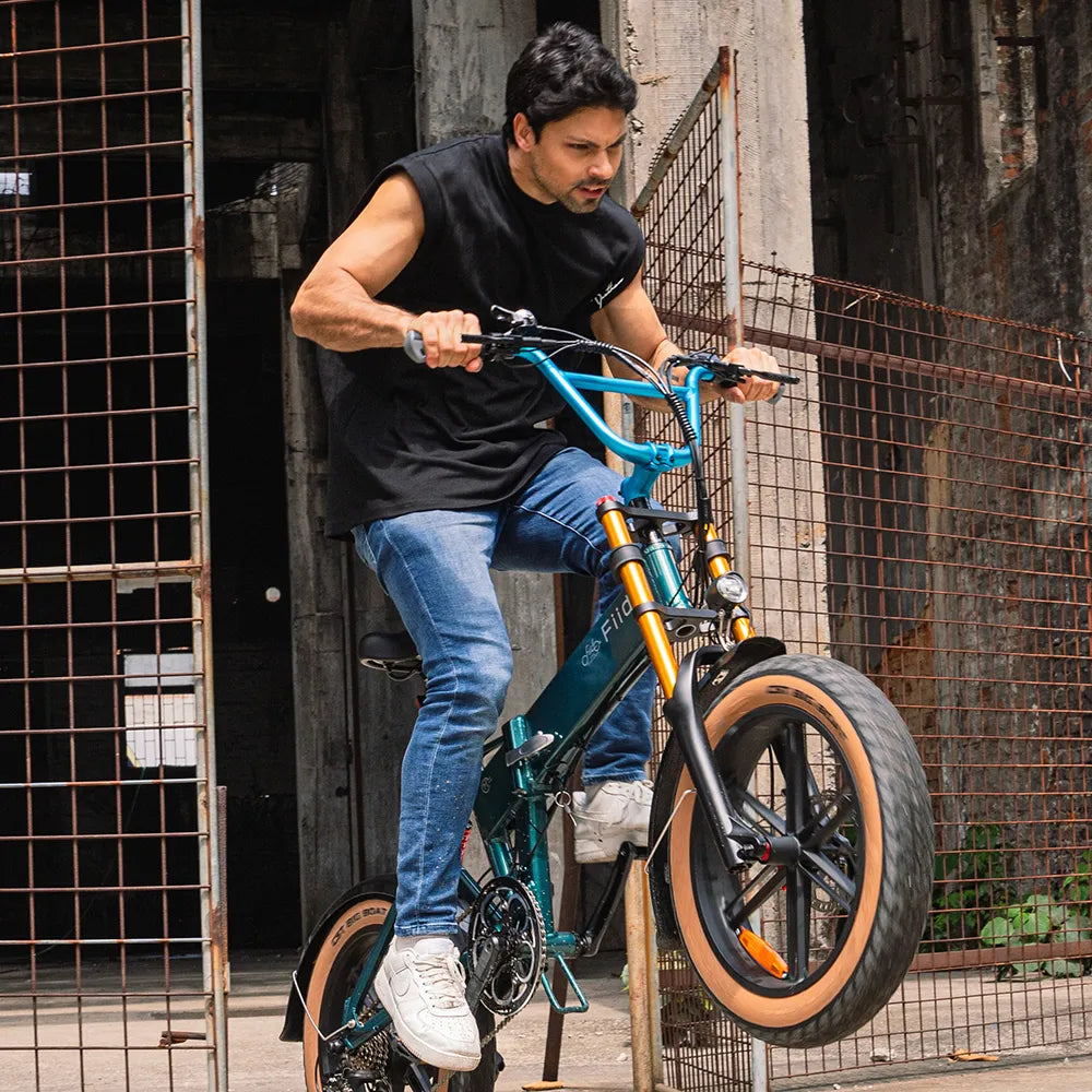 2026 Fiido M1 Pro Elektrofahrrad Big Wheel Fatbike