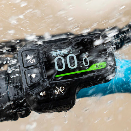 2026 Fiido M1 Pro Elektrofahrrad Big Wheel Fatbike