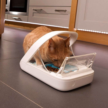 2026 Automatischer Haustierfutterautomat – Microchip Pet Feeder MPF001
