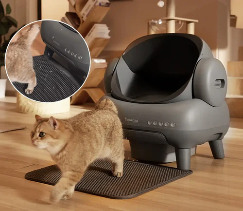 2026 Neakasa M1 Katzentoilette mit offenem Deckel und Selbstreinigung
