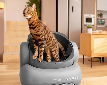 2026 Neakasa M1 Katzentoilette mit offenem Deckel und Selbstreinigung